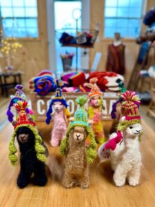 carousel_photo_07
